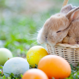 Frohe Ostern!!!!!!!!!!